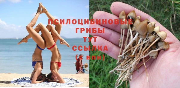 бошки Армянск