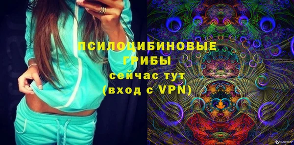 бошки Армянск