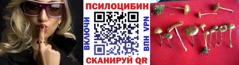 kraken как зайти  Сельцо  Псилоцибиновые грибы Magic Shrooms 